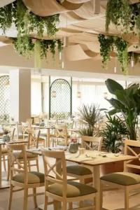 Iberostar Playa Gaviotas Park - 47