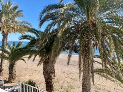 Hospedium Continental - 49