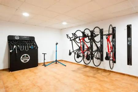 Best Oasis Tropical - 23