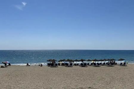 Best Oasis Tropical - 24