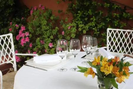 La Quinta de los Cedros - 23