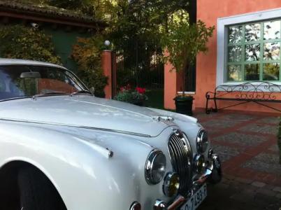 La Quinta de los Cedros - 41