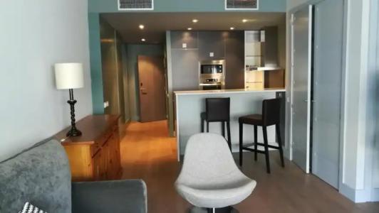 Apartamentos Serrano Recoletos - 109