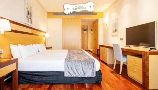 Ilunion Pio XII - 34