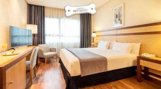 Ilunion Pio XII - 32