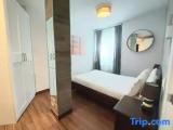 Basement Apartment