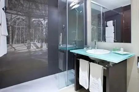 NH Madrid Lagasca - 102