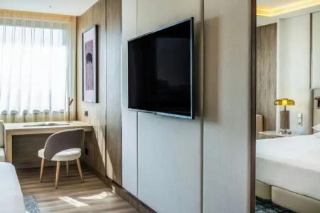 Princesa Plaza Madrid - 41