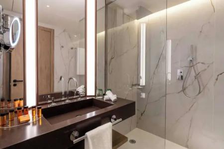 Princesa Plaza Madrid - 61