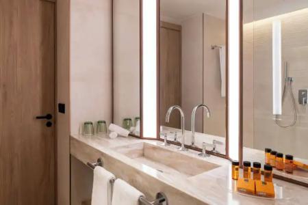 Princesa Plaza Madrid - 45