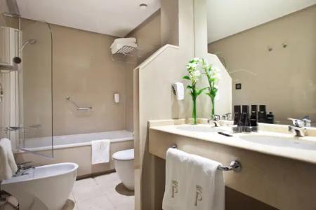 Princesa Plaza Madrid - 7