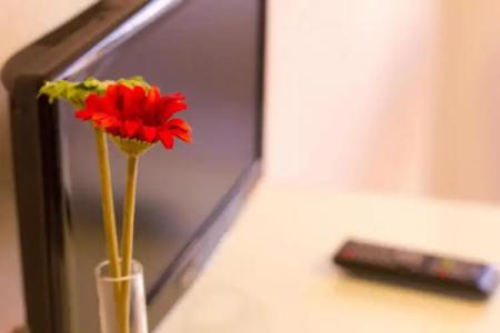 Apartamentos Turisticos G3 Galeon - 63