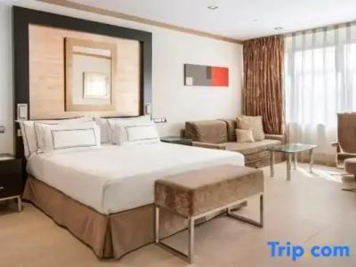 Melia Madrid Princesa - 125