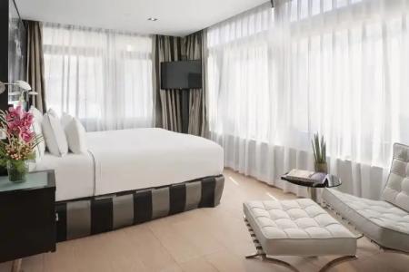 Melia Madrid Princesa - 7