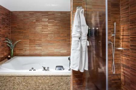 Melia Madrid Princesa - 8