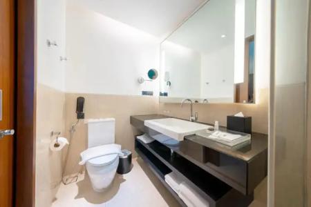 Melia Madrid Princesa - 48