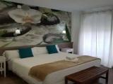 Standard Suite with city view