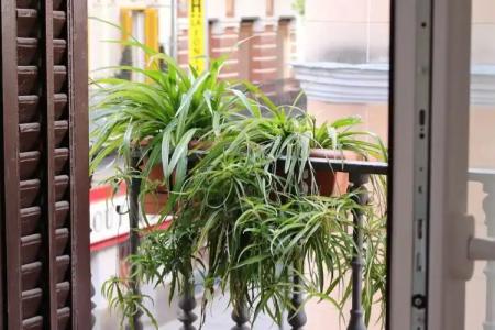 Hostal La Zona - 110
