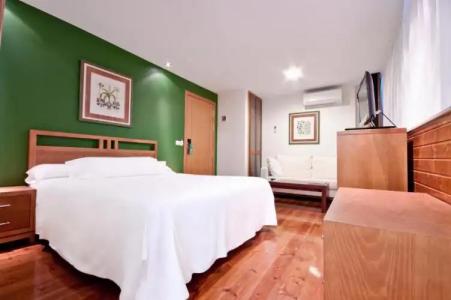 Santiago & Spa - 111