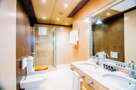 Roger de Flor by Seleqtta - 10