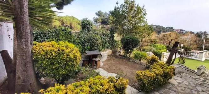 Bonsol ADULTS ONLY - 38