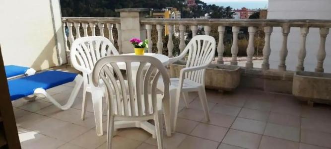 Bonsol ADULTS ONLY - 59