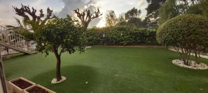 Bonsol ADULTS ONLY - 47