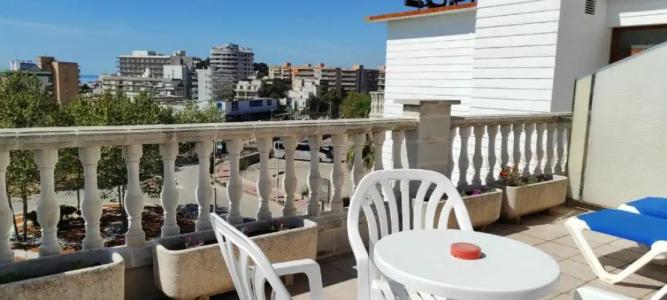 Bonsol ADULTS ONLY - 60