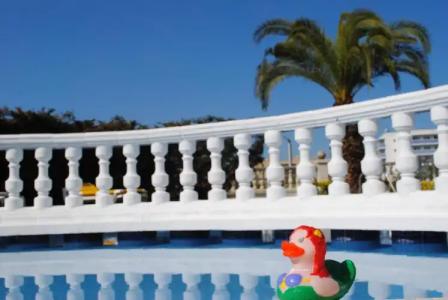 Bonsol ADULTS ONLY - 14