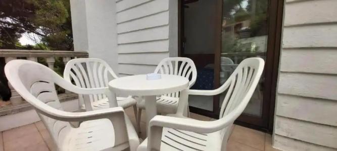 Bonsol ADULTS ONLY - 52