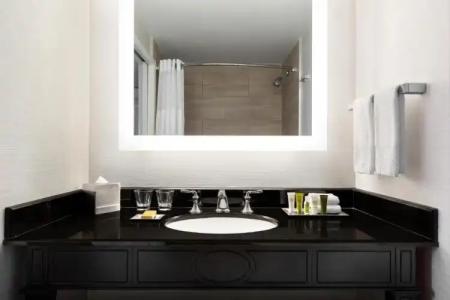 Hilton New Orleans / St. Charles Avenue - 48