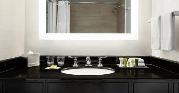 Hilton New Orleans / St. Charles Avenue - 66