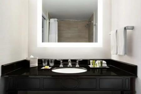 Hilton New Orleans / St. Charles Avenue - 41