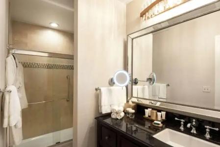 The Roosevelt New Orleans - Waldorf Astorias & Resorts - 7