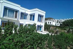 Villa Sakin, Guemuesluek