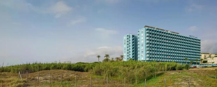 Playas de Guardamar - 39