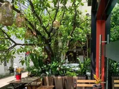 Aspira D'Andora Sukhumvit 16 - Asoke - 20