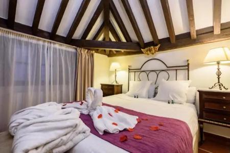 Palacio de Santa Inés - 80