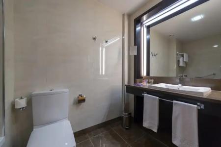 Macià Real De La Alhambra - 10