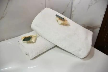 Katerina Sarayı 1877 - 17