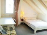 Standard Double Attic room