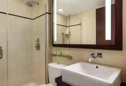 DoubleTree by Hilton New York Downtown - 33