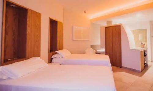 Higuerón Curio Collection by Hilton - 110