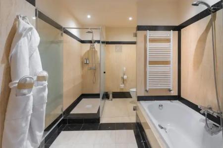 Elba Estepona Gran & Thalasso Spa - 7