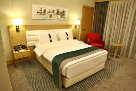 Holiday Inn Ankara - Cukurambar, an IHG - 110