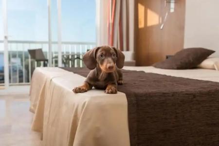 Torre Azul & Spa - Adults Only - 84