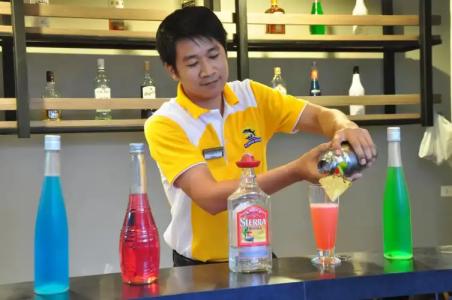 Flipper House - SHA Extra Plus - 28