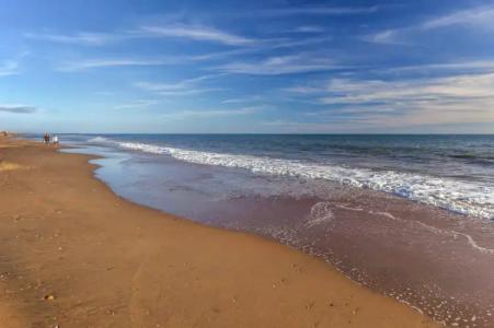 Barceló Costa Ballena Golf & Spa - 22