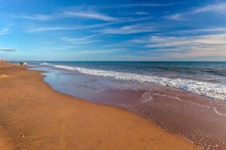 Barceló Costa Ballena Golf & Spa - 61