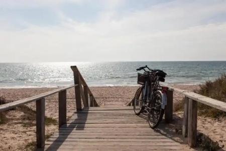 Barceló Costa Ballena Golf & Spa - 25